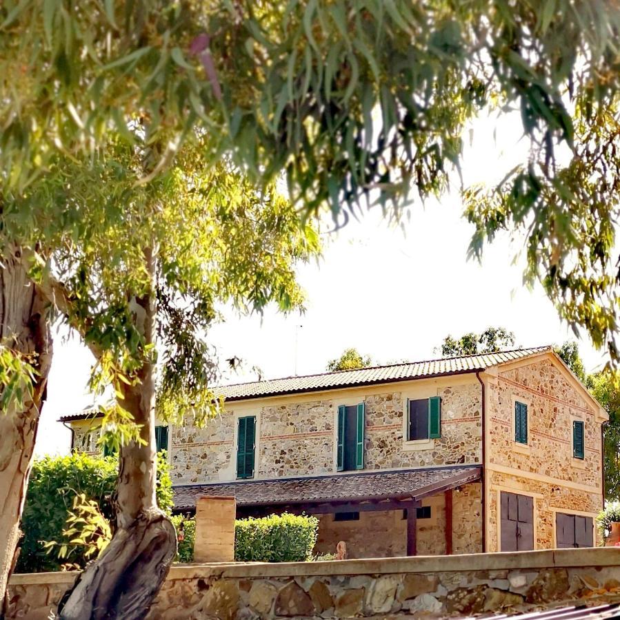 Fattoria Tolomei Campagnatico Exterior foto
